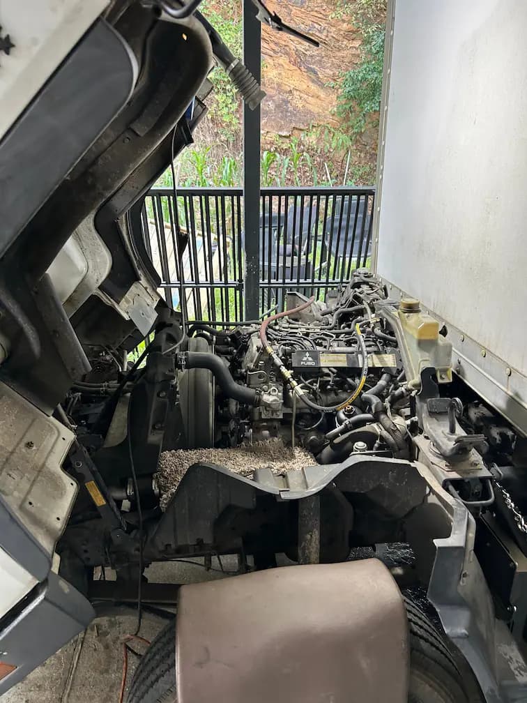 Diesel truck repair work 59 – Arias MD Mechanic